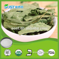 Alibaba High quality and organic stevia extract sweetener